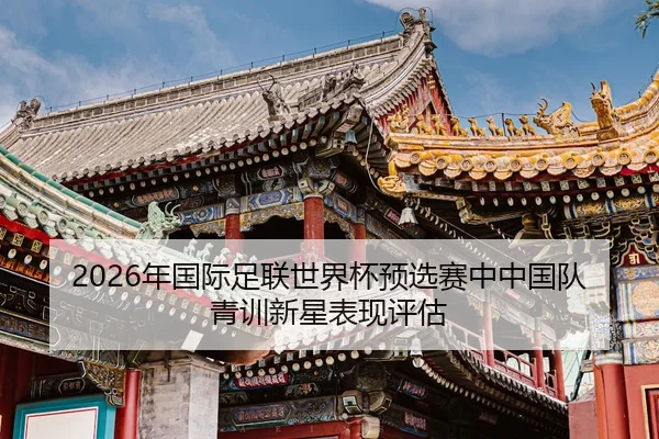nian-guo-ji-zu-lian-shi-jie-bei-yu-xuan-sai-zhong-zhong-guo-dui-qing-xun-xin-xing-biao-xian-ping-gu-2-439.jpg