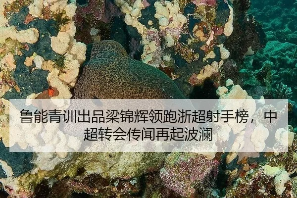 lu-neng-qing-xun-chu-pin-liang-jin-hui-ling-pao-zhe-chao-she-shou-bang-zhong-chao-zhuan-hui-chuan-wen-zai-qi-bo-lan-2-367.jpg