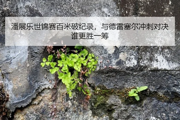 潘展乐世锦赛百米破纪录，与德雷塞尔冲刺对决谁更胜一筹